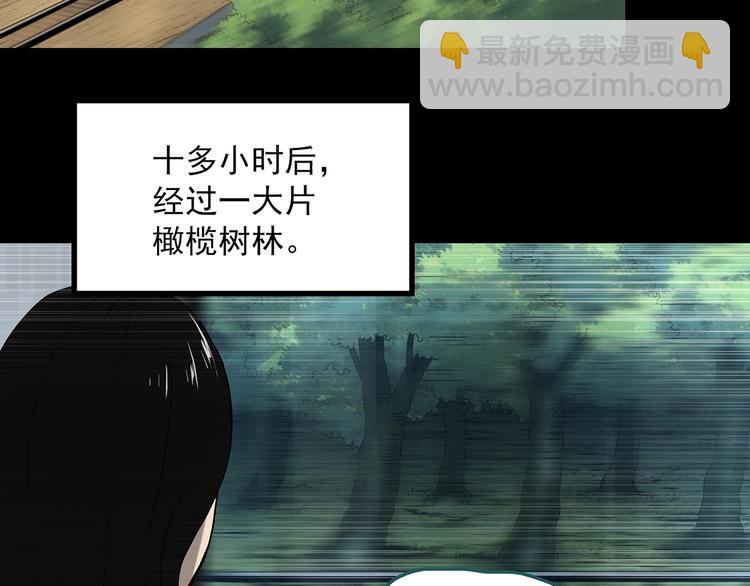 第330话 贞节橄榄树（上）36