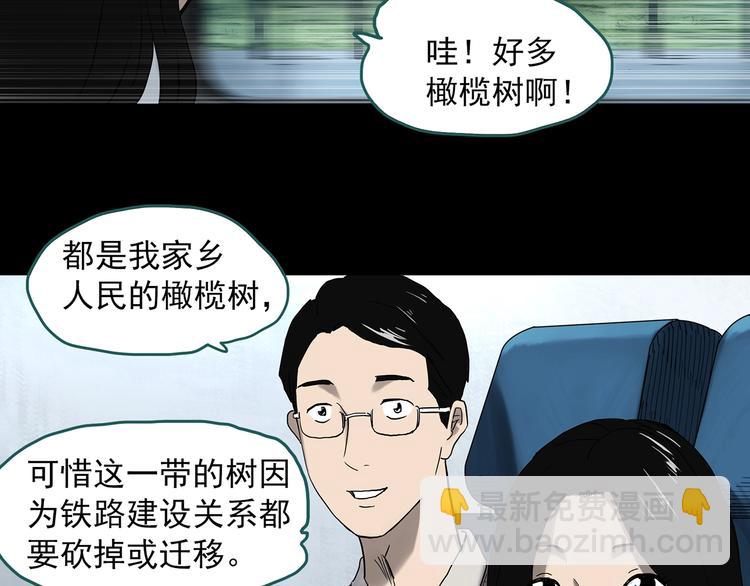 第330话 贞节橄榄树（上）37