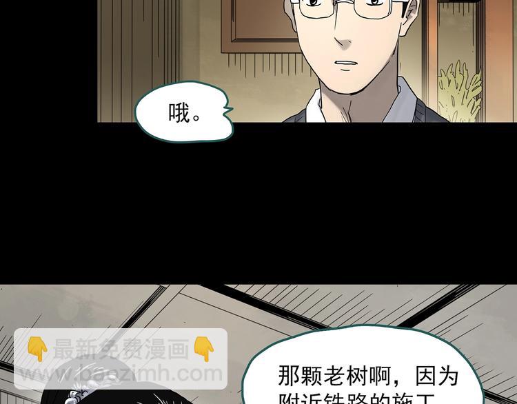第330话 贞节橄榄树（上）64