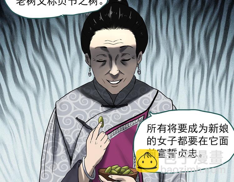 第330话 贞节橄榄树（上）69