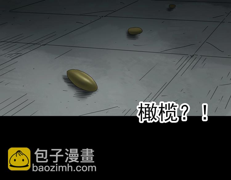第330话 贞节橄榄树（上）82