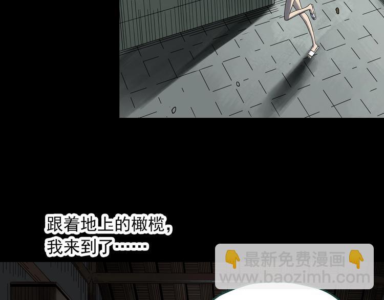 第330话 贞节橄榄树（上）84