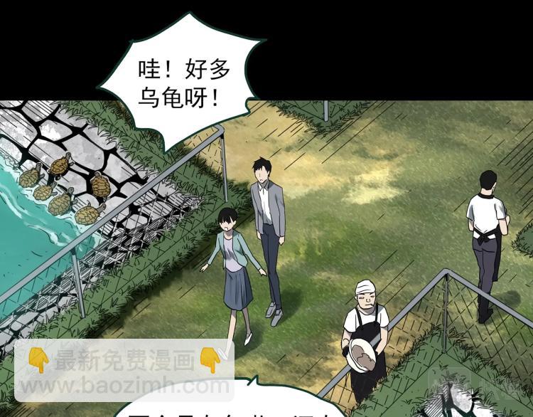 第374话 龟之怪谈（上）23