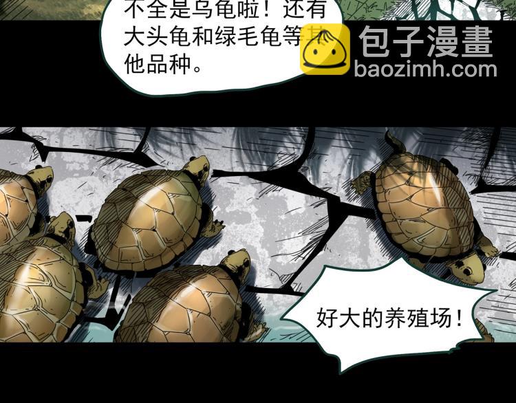 第374话 龟之怪谈（上）24