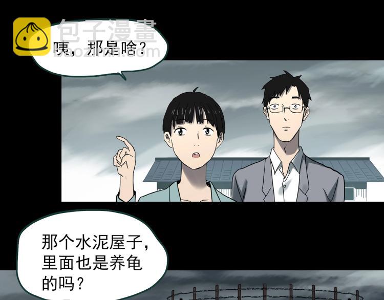 第374话 龟之怪谈（上）25
