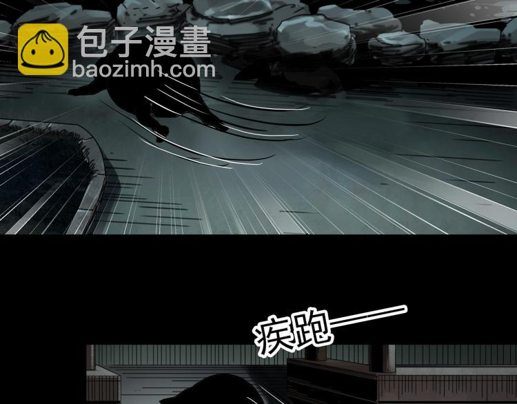第374话 龟之怪谈（上）42