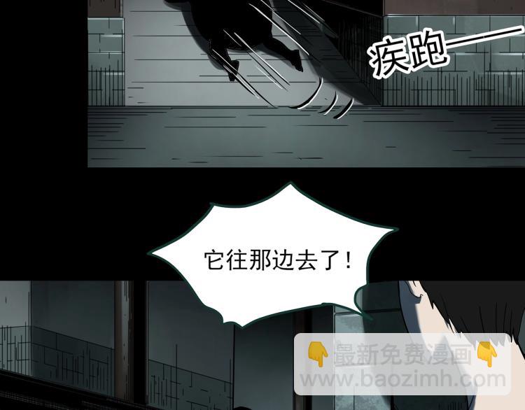 第374话 龟之怪谈（上）43