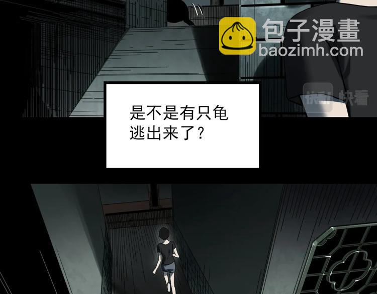 第374话 龟之怪谈（上）44