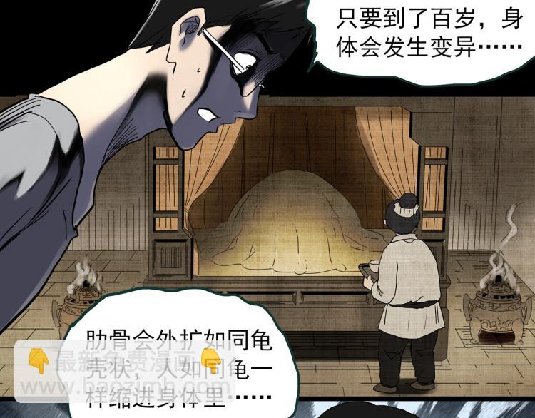 第374话 龟之怪谈（上）66