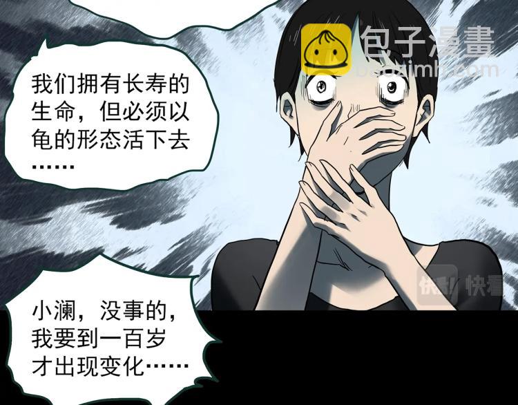 第374话 龟之怪谈（上）67