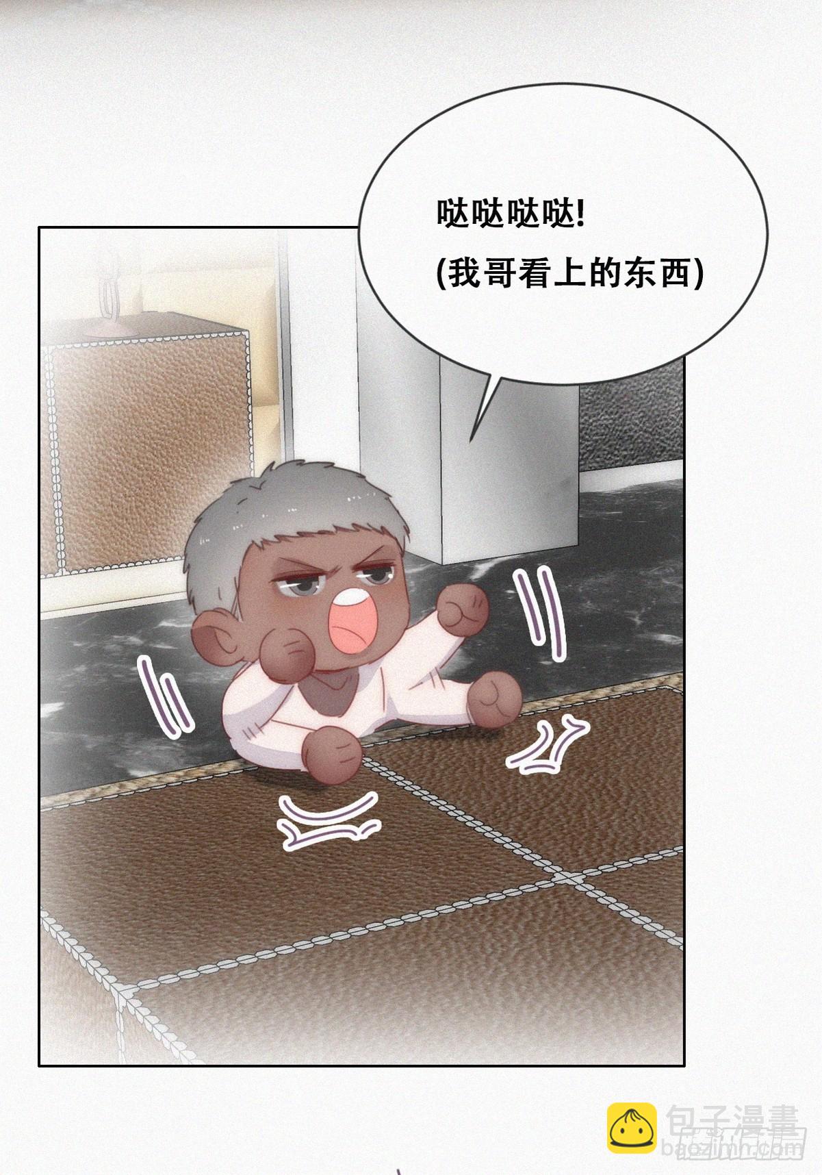 【养娃小剧场】《狂飙》后遗症6