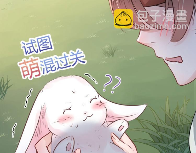 第38话 撸兔子21