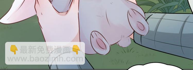 第38话 撸兔子22