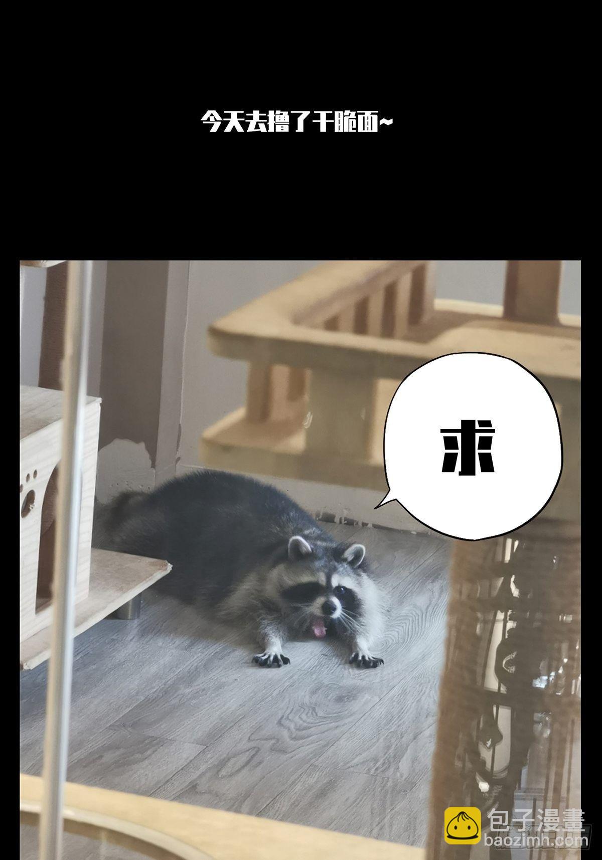 第八十五章/神秘组织下38