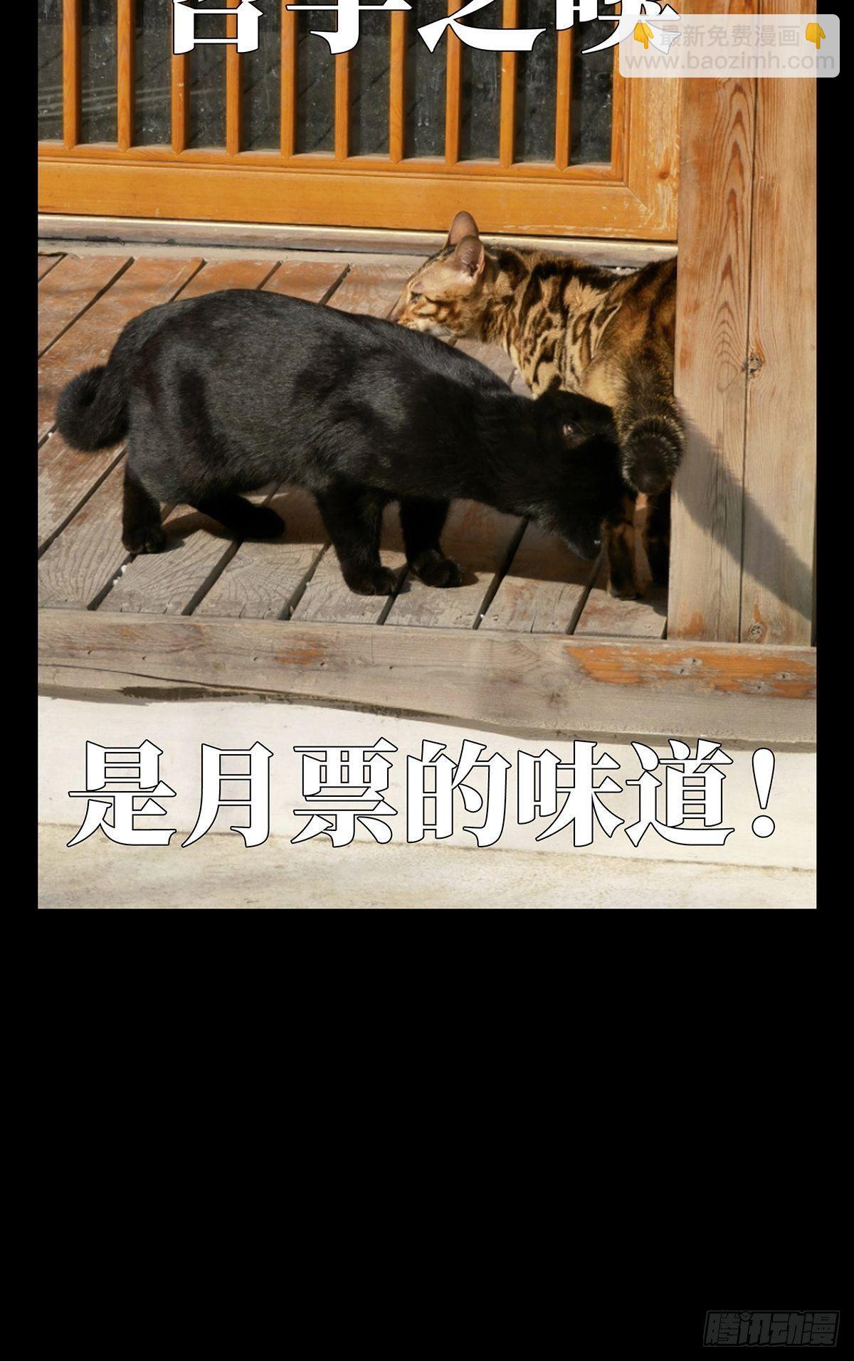 第一百一十七章/灵域中53