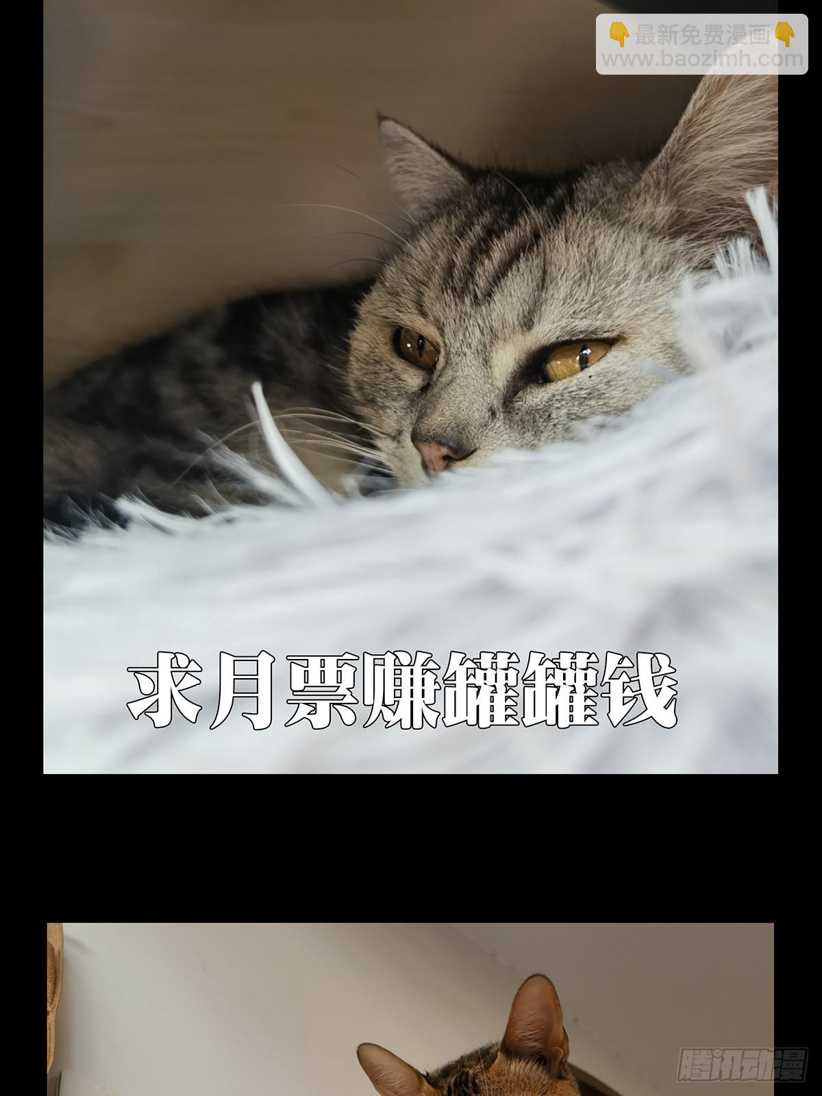 第三百章/怒火下37