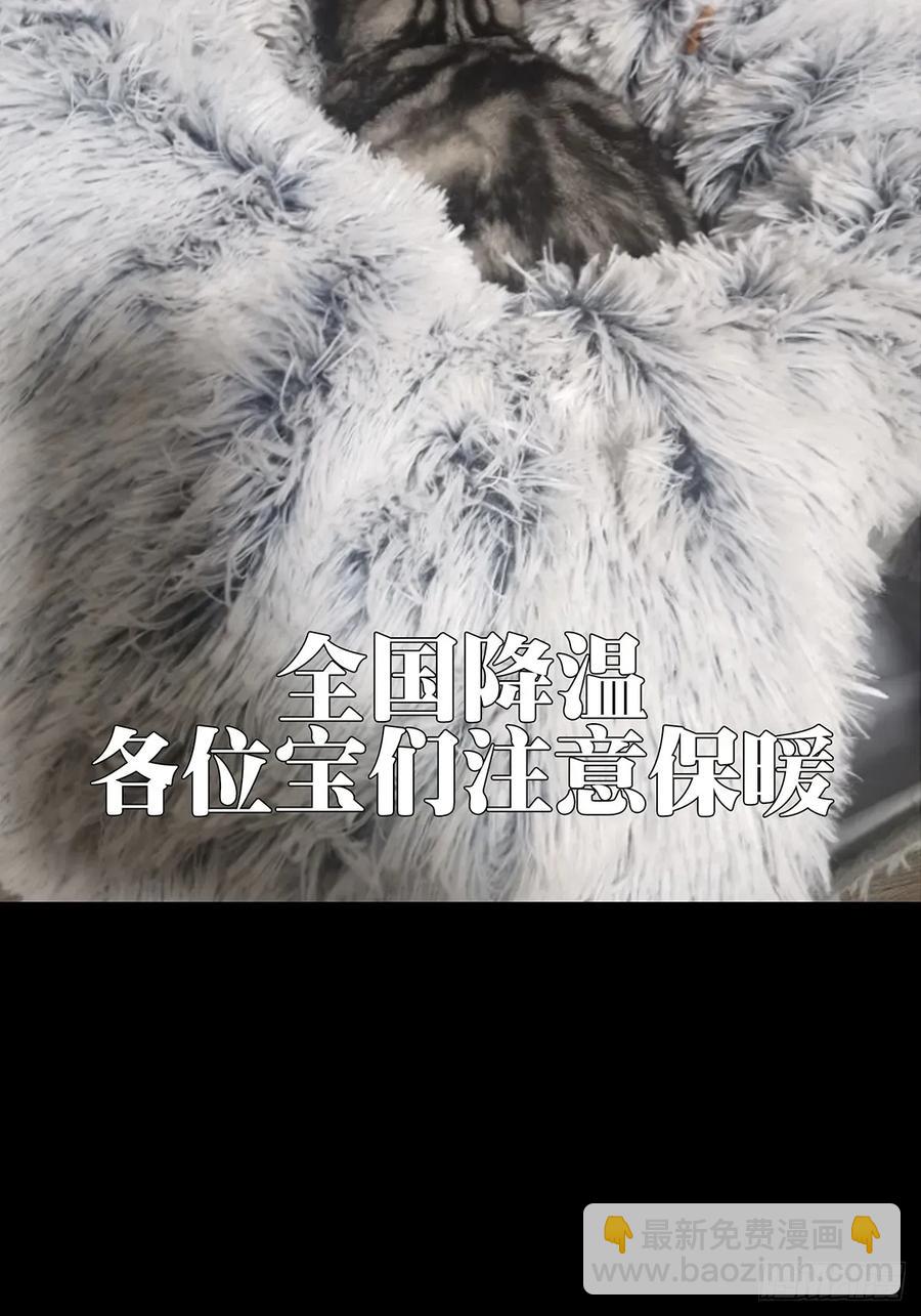 第三百七十八章/六雷上59