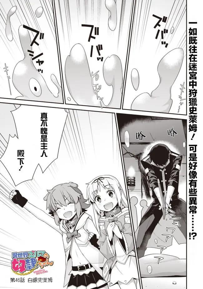 第46回0