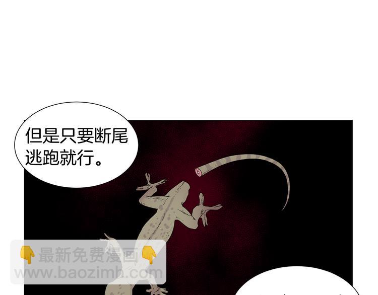 第68话 关于血统25