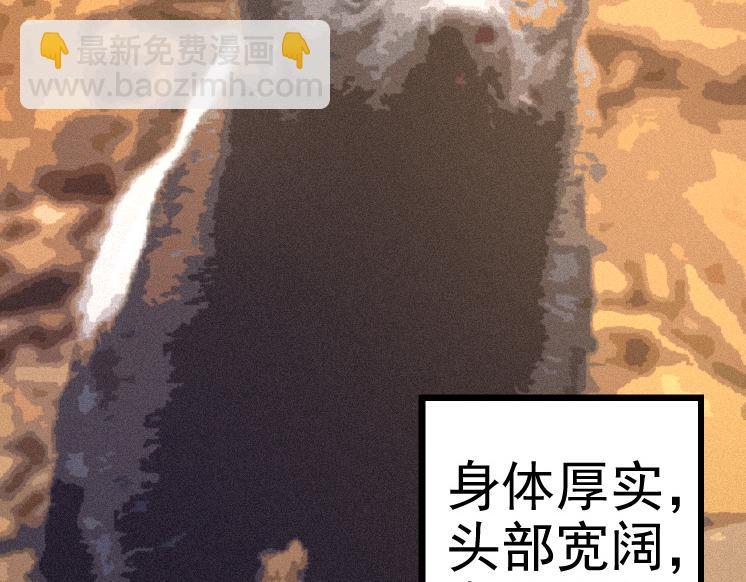 第26话 大树出现1