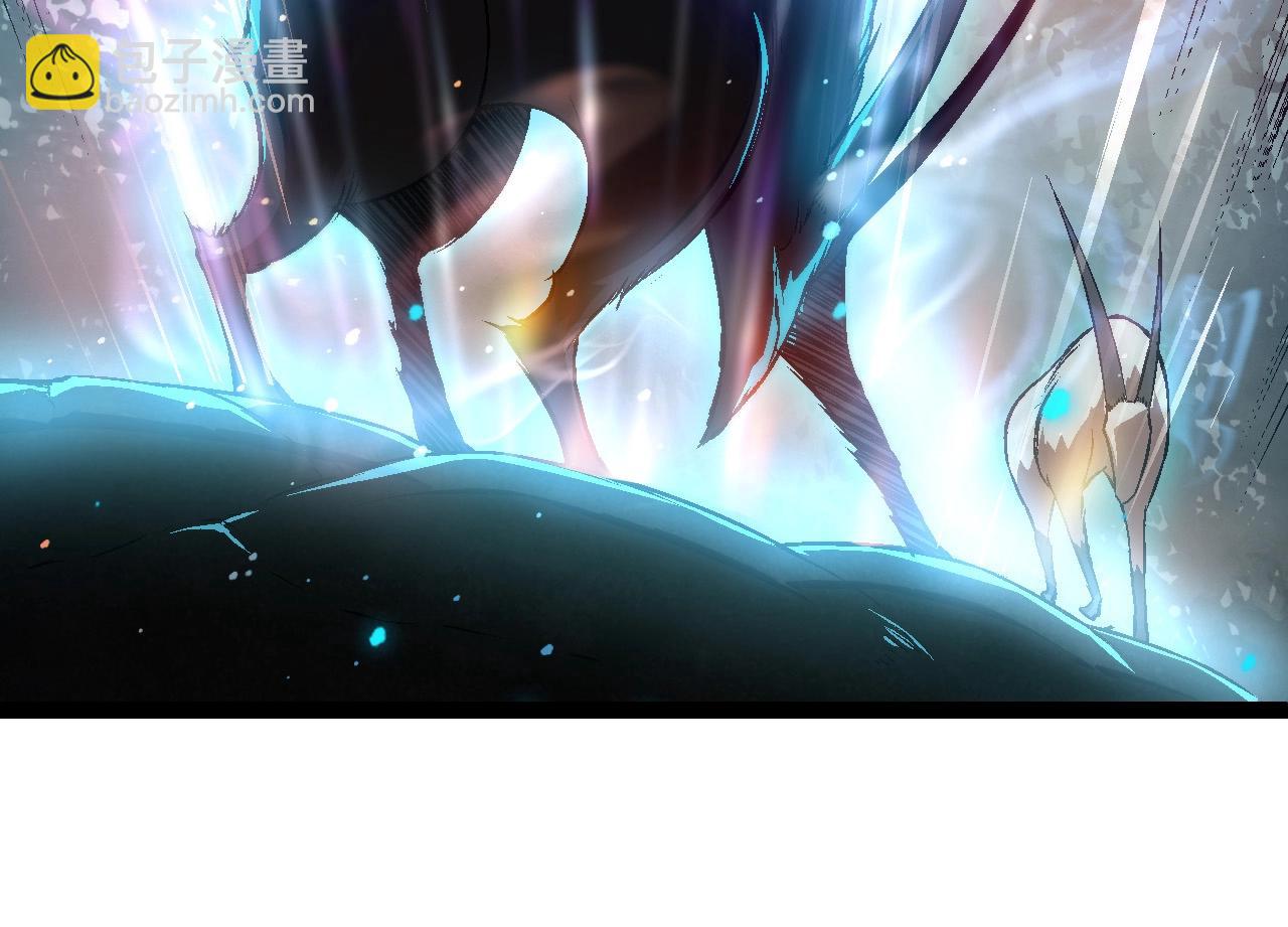 第74话 峡谷中的巨大树影111