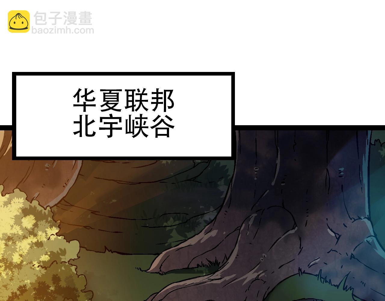 第74话 峡谷中的巨大树影166