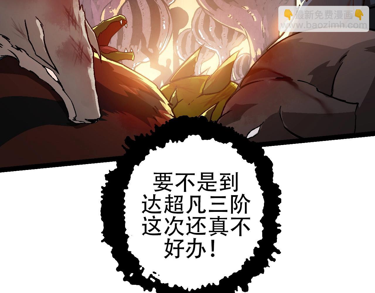 第74话 峡谷中的巨大树影28