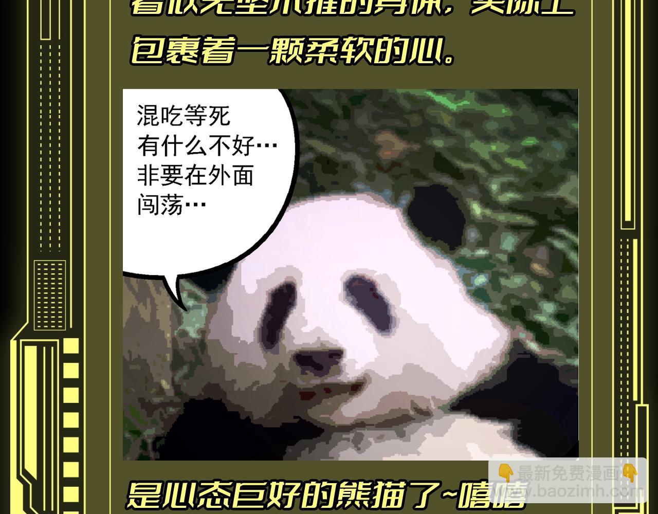 第8期 熊猫仔也有他想保护的人类啊3