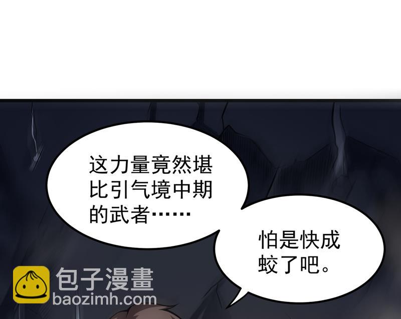 鸿蒙离火，一剑斩龙！33