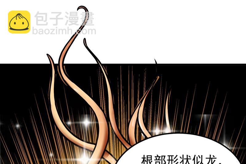鸿蒙离火，一剑斩龙！5