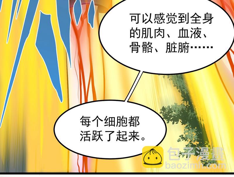 鸿蒙离火，一剑斩龙！89