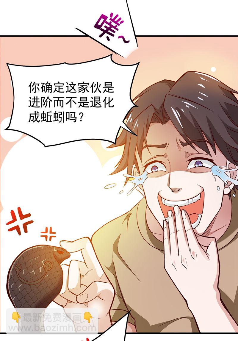 肋生双翅化腾蛇50