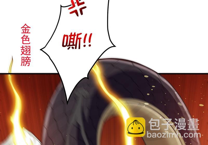 肋生双翅化腾蛇51