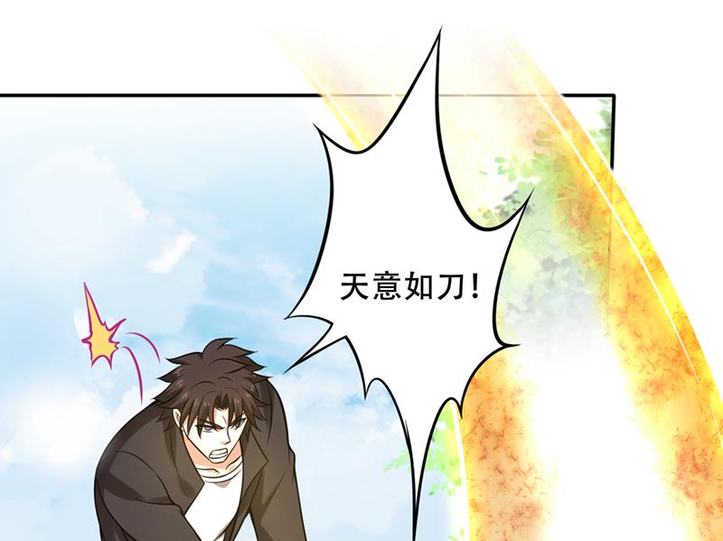 鸿蒙灵种发芽了0