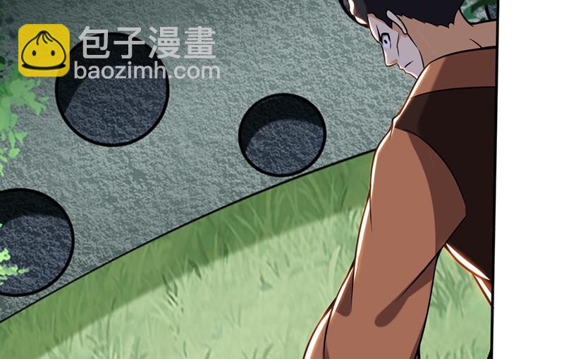 鸿蒙灵种发芽了30