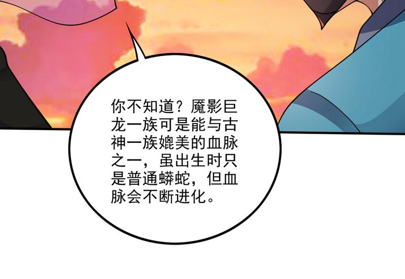 灵舟兽演？46
