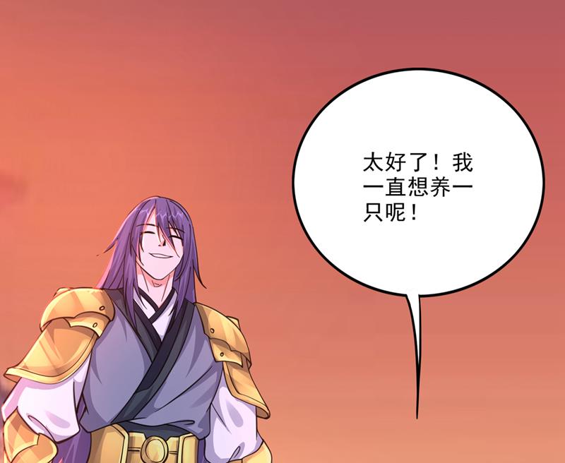 灵舟兽演？57