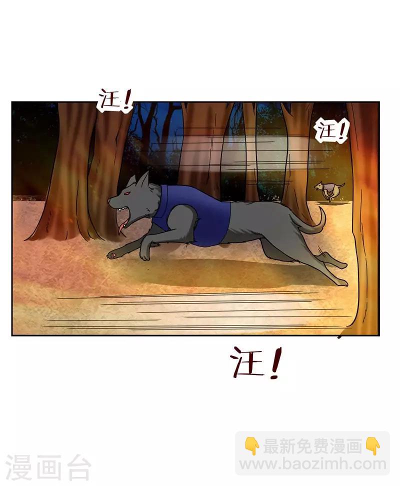 第19话 酒吧遇袭10