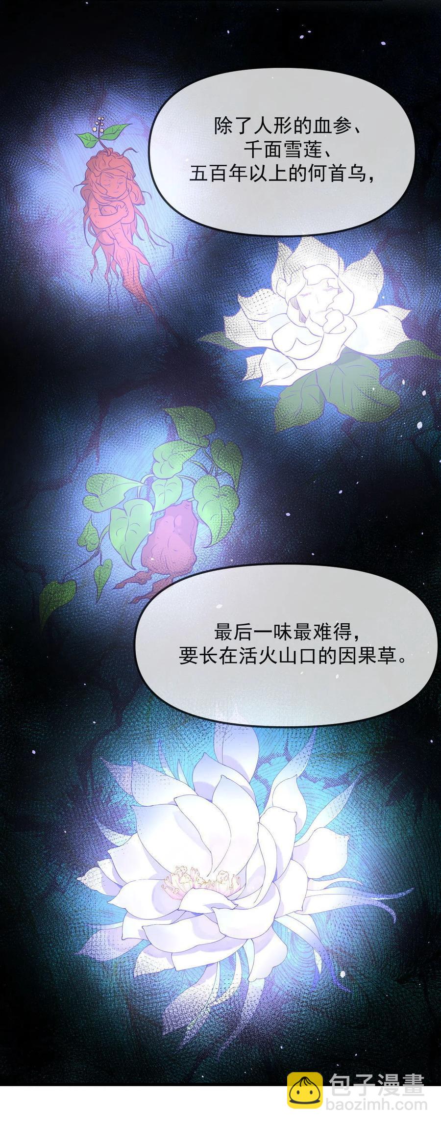 第265话 萧、叶合作26