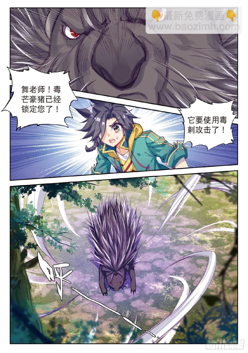 84  毒芒豪猪12