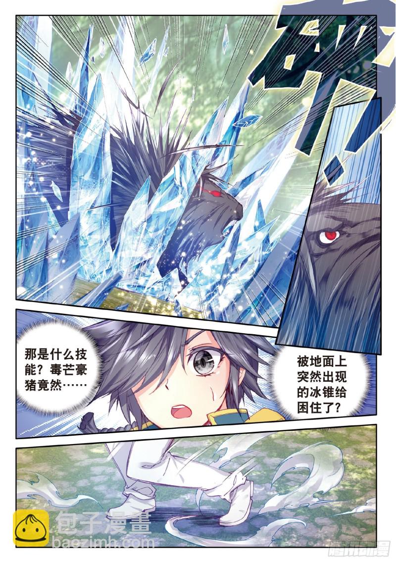 84  毒芒豪猪13