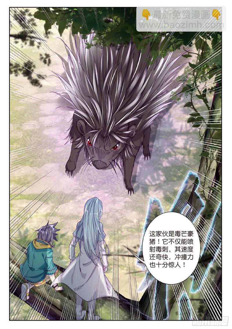 84  毒芒豪猪9