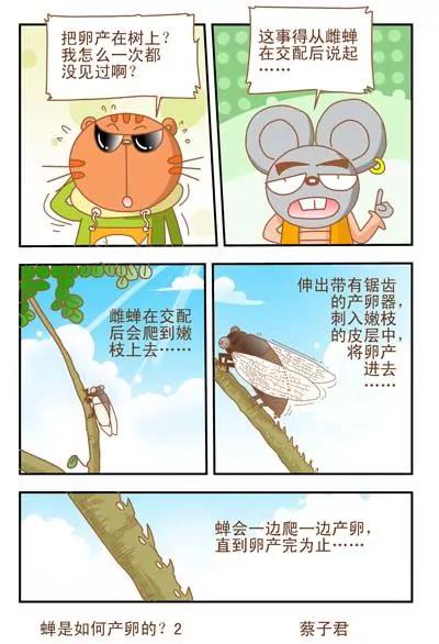 第26话3