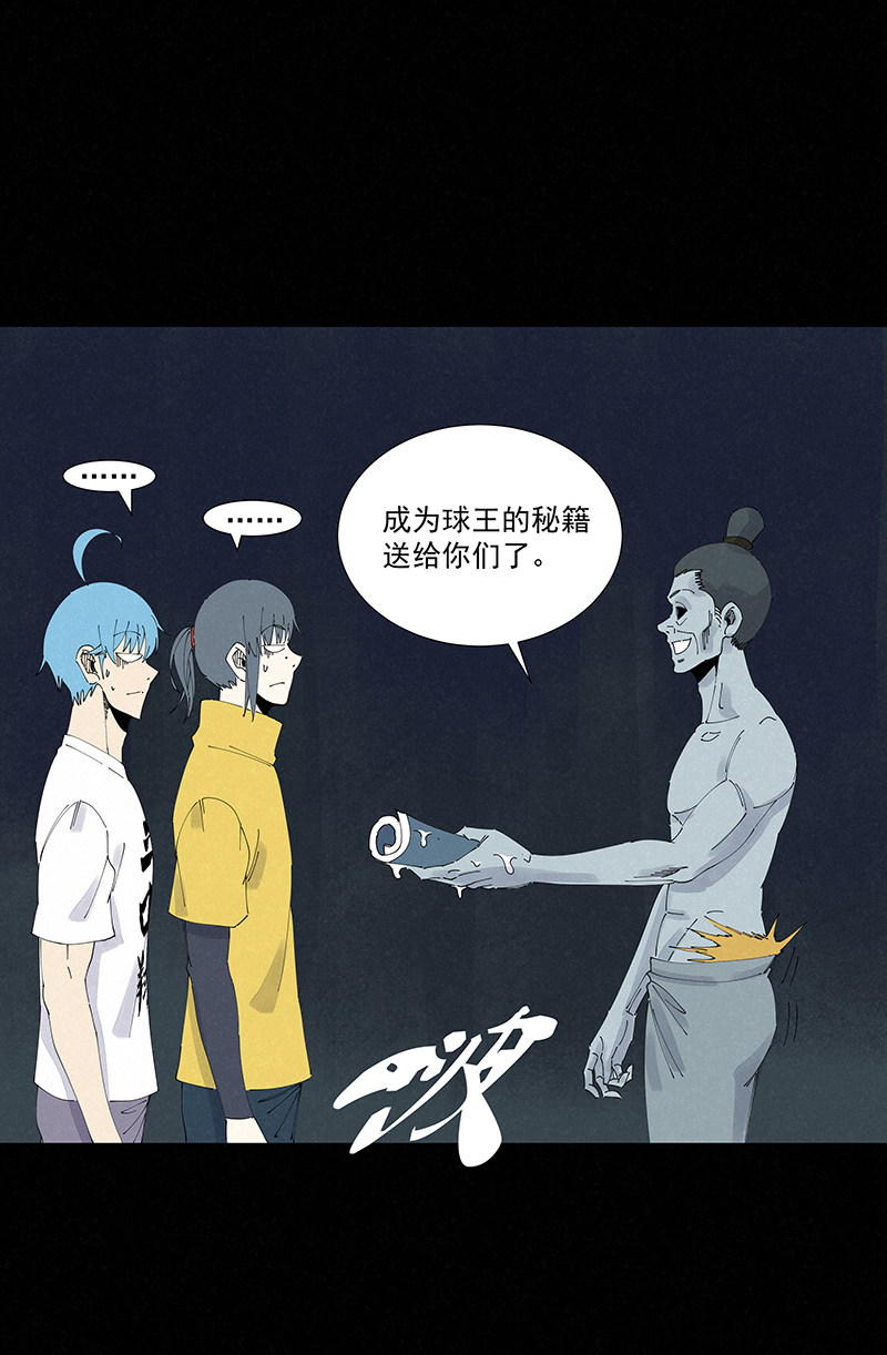 第二百六十三波  球王秘籍19