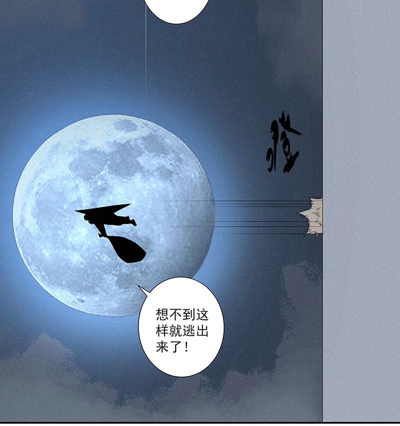 第二百八十五波  润发26