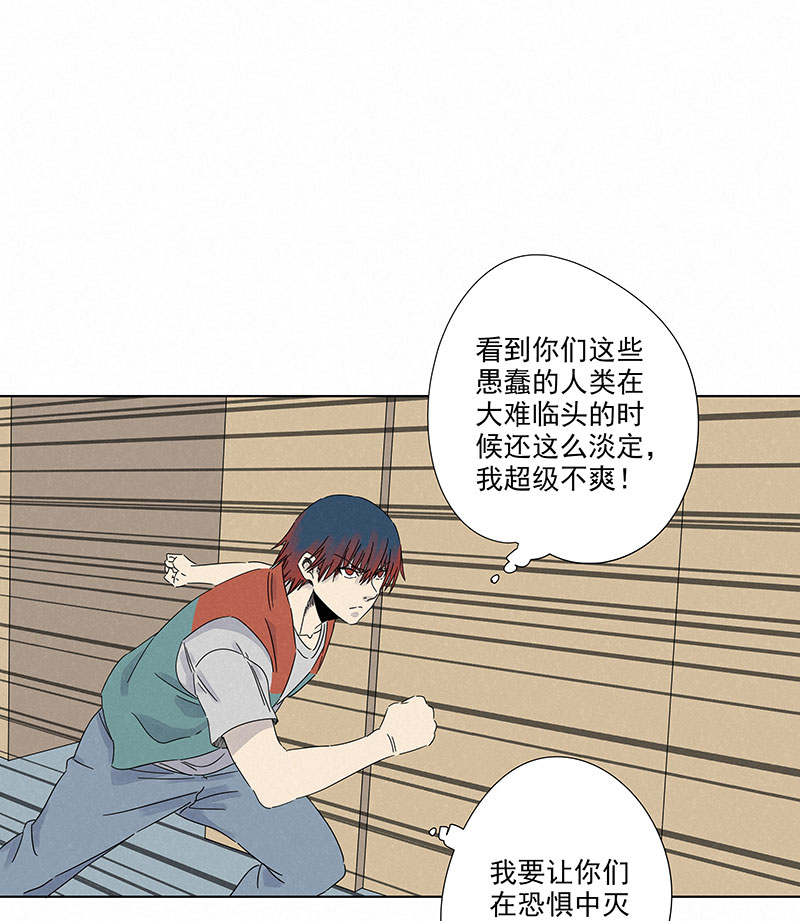 第二百九十三波  赌局28