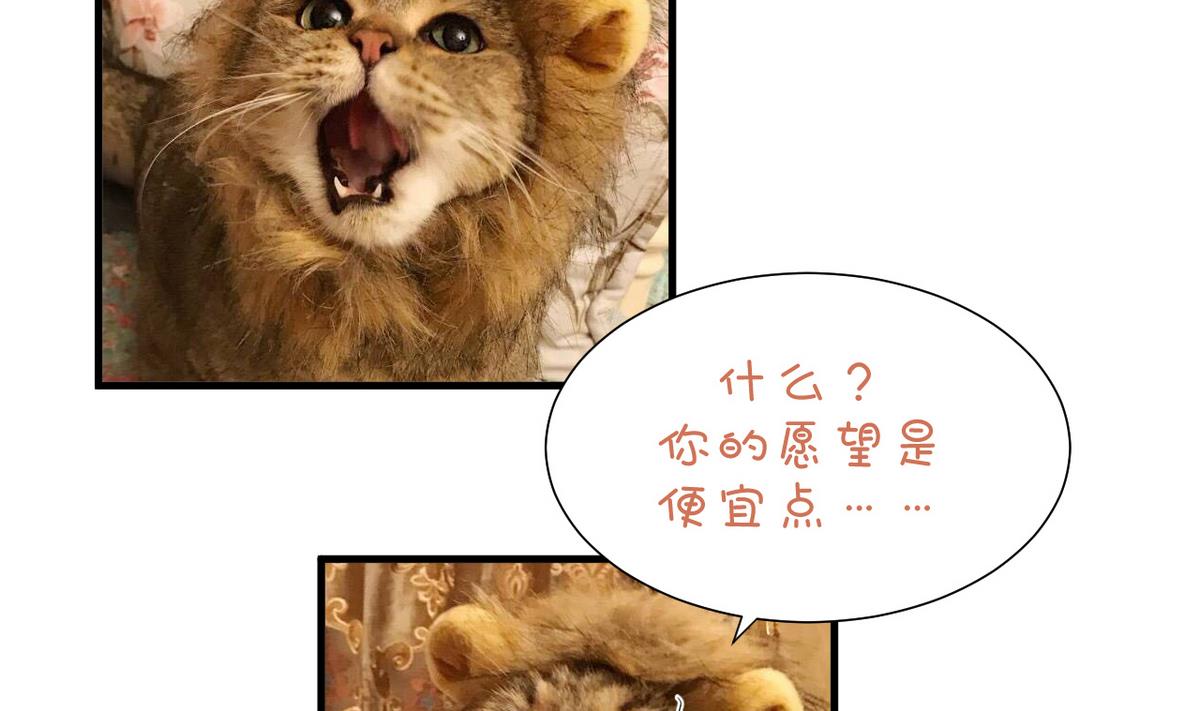 第166话 出事42