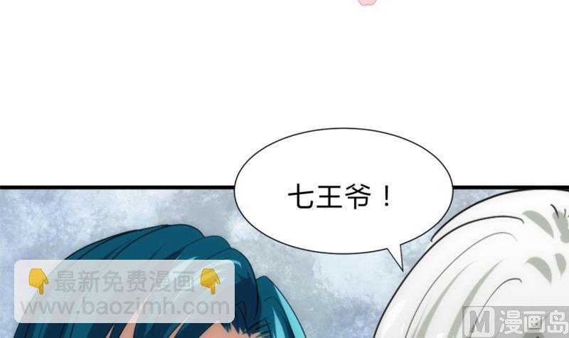 第202话 七王爷的忧虑2
