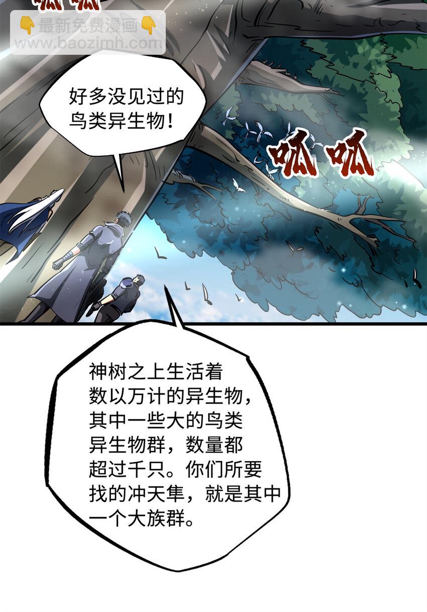 216 冲天隼王16