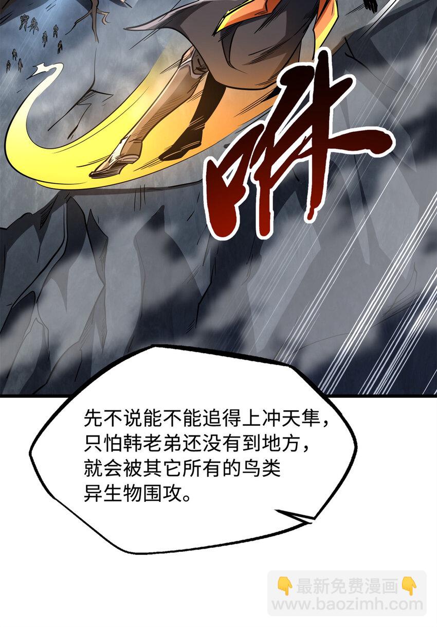 216 冲天隼王24